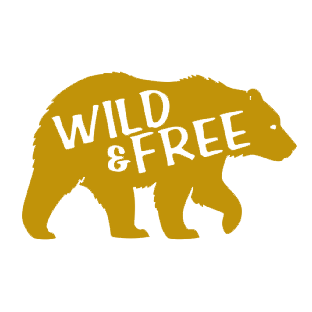 Wild & Free Bear Vinyl Car Decal